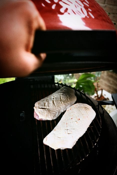 Gerookte eendenborst