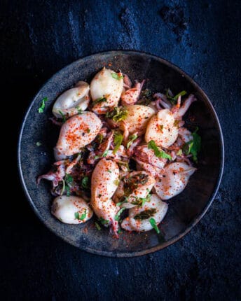 Grilled sepia squids