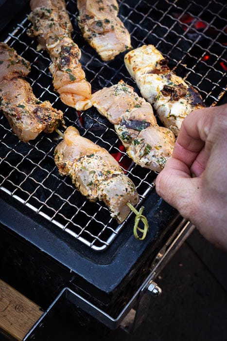 mexicaanse kip spies