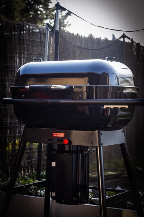 Barbecook magnus review