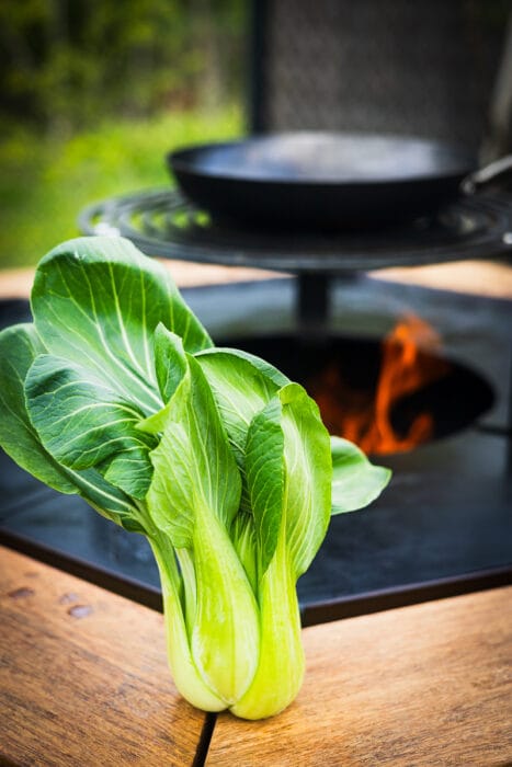 paksoi op de grill