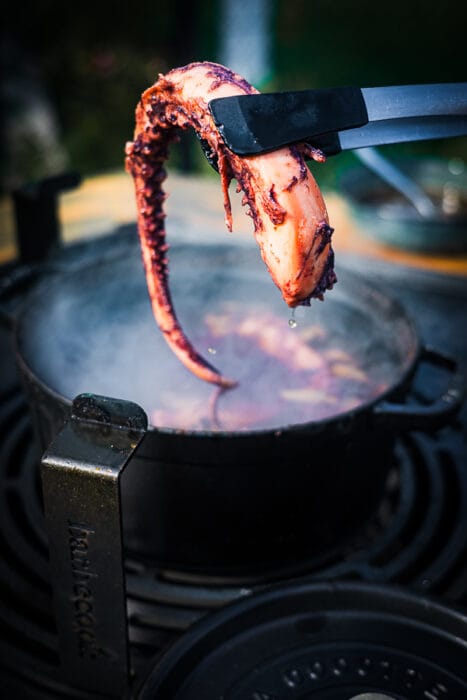 Gegrilde inktvis tentakels