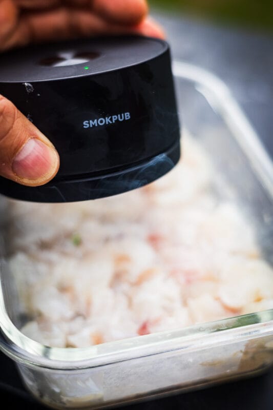 koud gerookte ceviche Internationale bbq recepten uit zuid-amerika